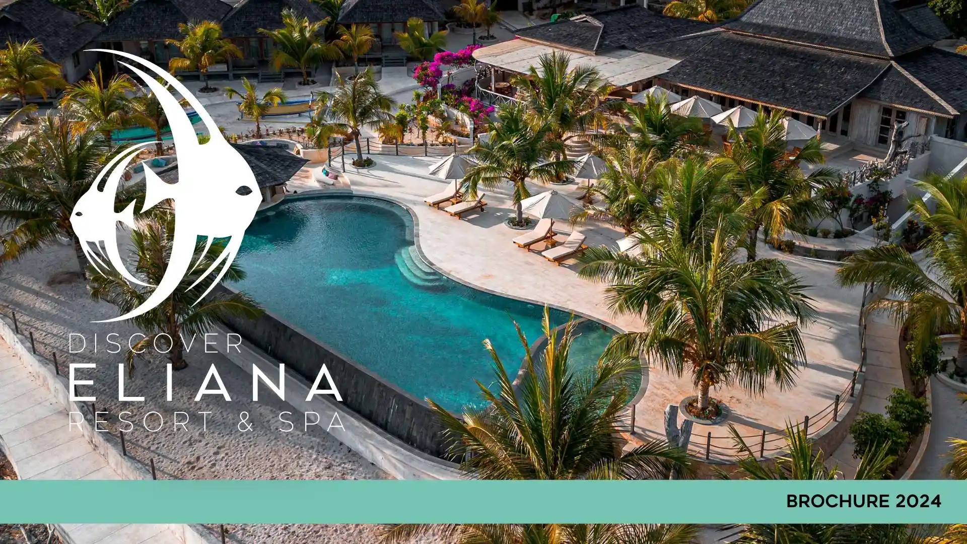 eliana-brochure-2024